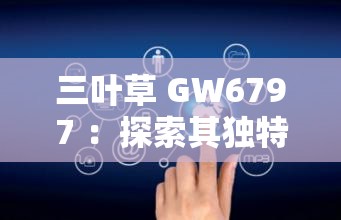 三叶草 GW6797 ：探索其独特性能与广泛应用领域