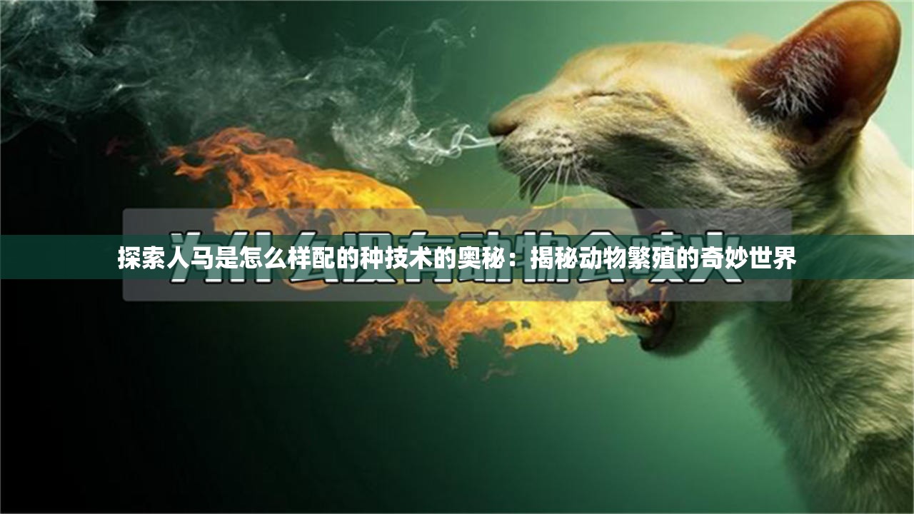 探索人马是怎么样配的种技术的奥秘：揭秘动物繁殖的奇妙世界