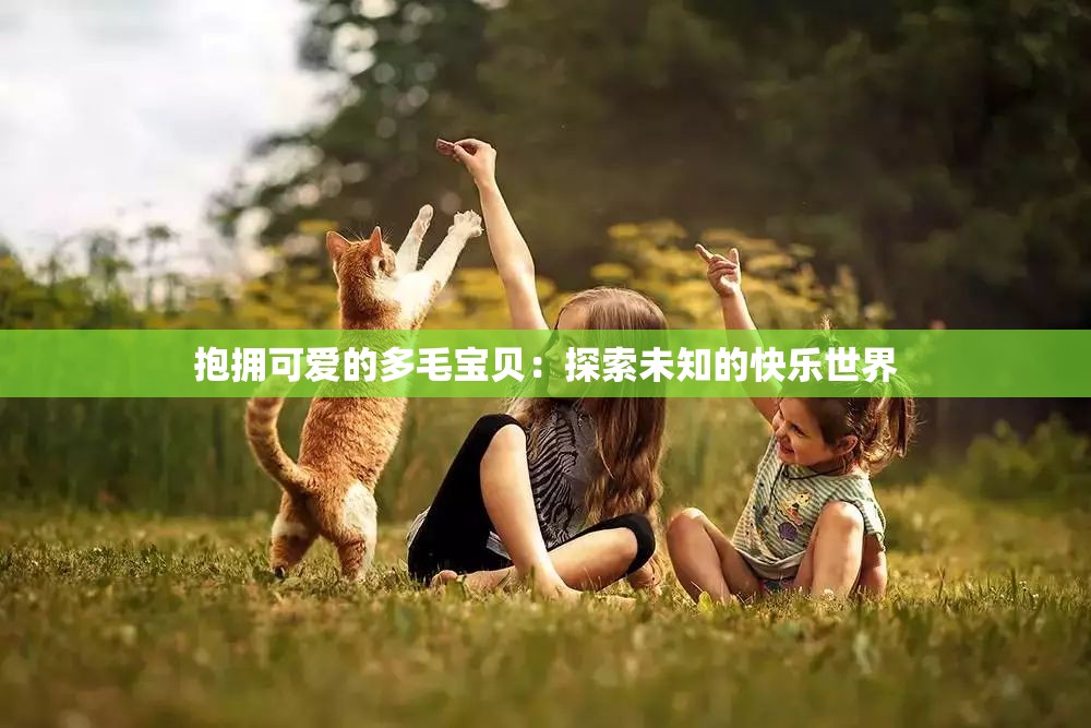 抱拥可爱的多毛宝贝：探索未知的快乐世界