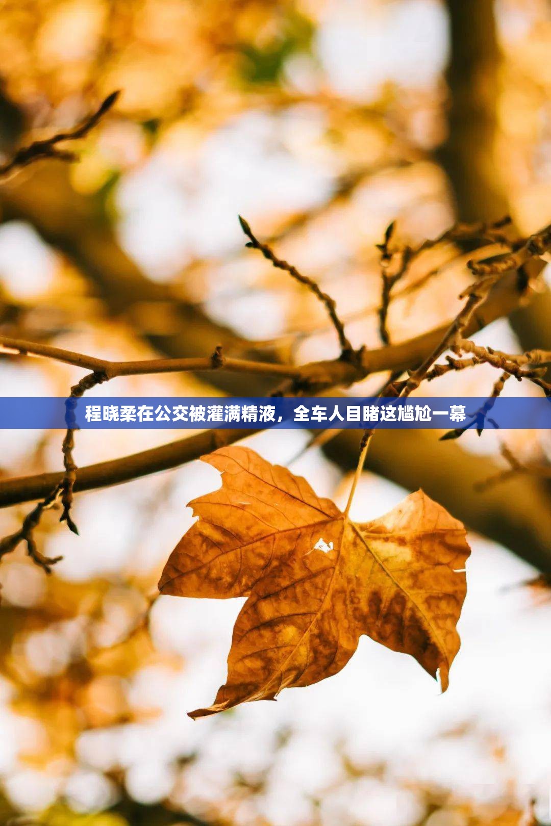 程晓柔在公交被灌满精液，全车人目睹这尴尬一幕