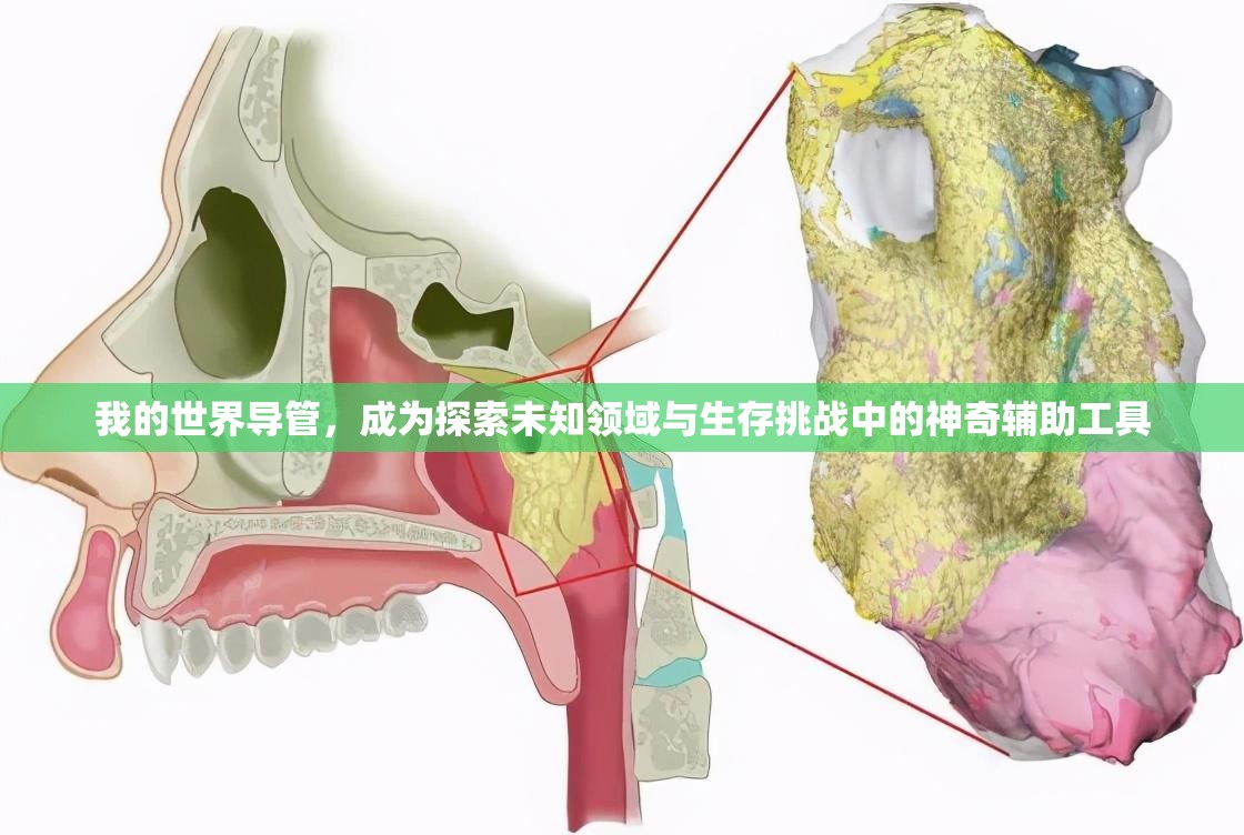 我的世界导管，成为探索未知领域与生存挑战中的神奇辅助工具