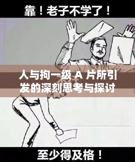人与拘一级 A 片所引发的深刻思考与探讨