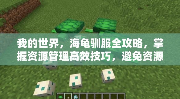 我的世界，海龟驯服全攻略，掌握资源管理高效技巧，避免资源浪费