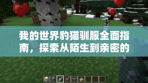 我的世界豹猫驯服全面指南，探索从陌生到亲密的奇妙互动旅程