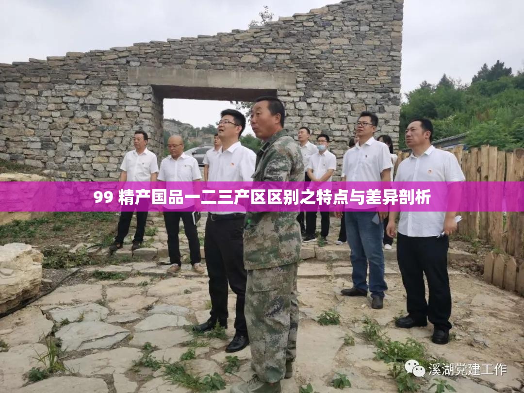 99 精产国品一二三产区区别之特点与差异剖析