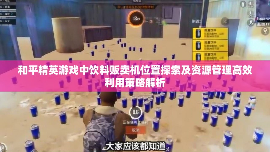 和平精英游戏中饮料贩卖机位置探索及资源管理高效利用策略解析