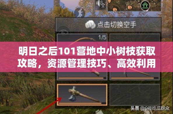 明日之后101营地中小树枝获取攻略，资源管理技巧、高效利用策略及避免浪费方法