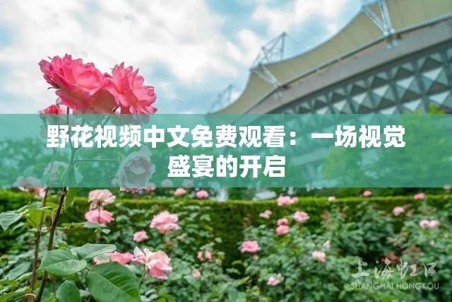 野花视频中文免费观看：一场视觉盛宴的开启