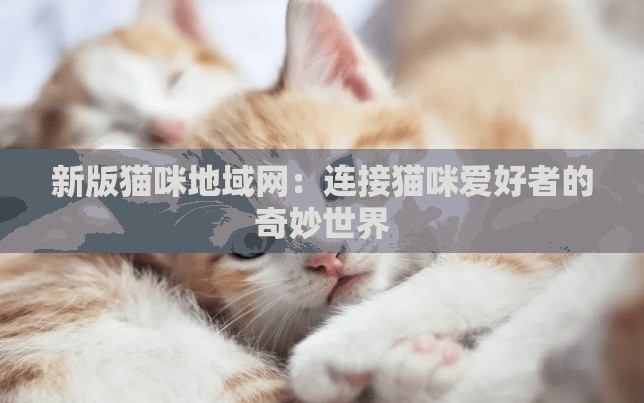 新版猫咪地域网：连接猫咪爱好者的奇妙世界