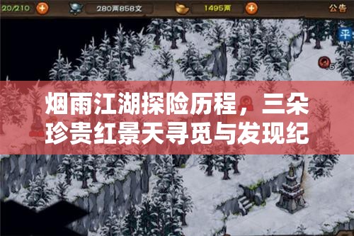 烟雨江湖探险历程，三朵珍贵红景天寻觅与发现纪实