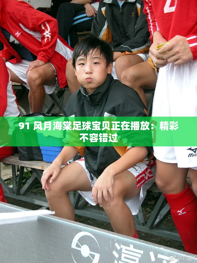 91 风月海棠足球宝贝正在播放：精彩不容错过
