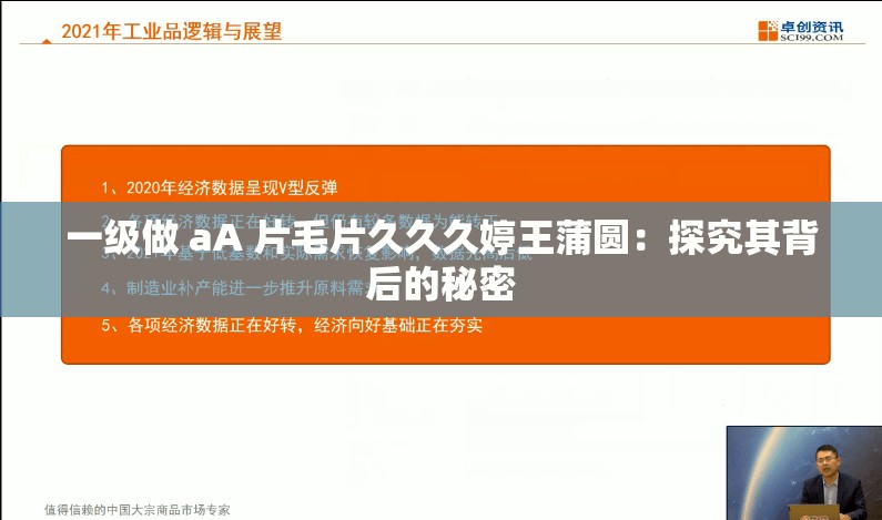 一级做 aA 片毛片久久久婷王蒲圆：探究其背后的秘密