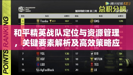 和平精英战队定位与资源管理，关键要素解析及高效策略应用