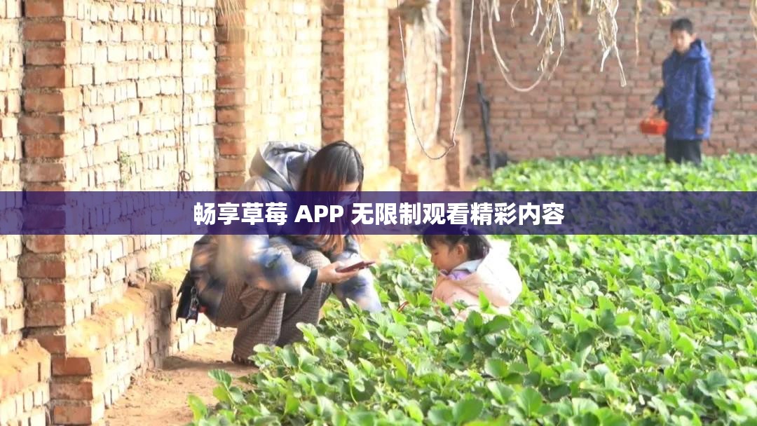 畅享草莓 APP 无限制观看精彩内容