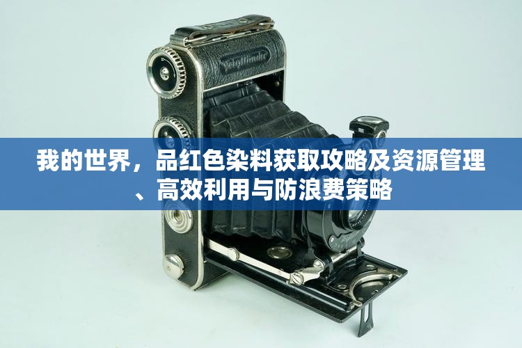 我的世界，品红色染料获取攻略及资源管理、高效利用与防浪费策略