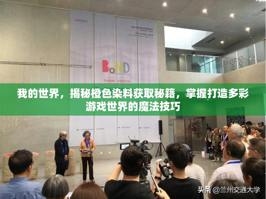 我的世界，揭秘橙色染料获取秘籍，掌握打造多彩游戏世界的魔法技巧