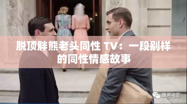 脱顶胖熊老头同性 TV：一段别样的同性情感故事