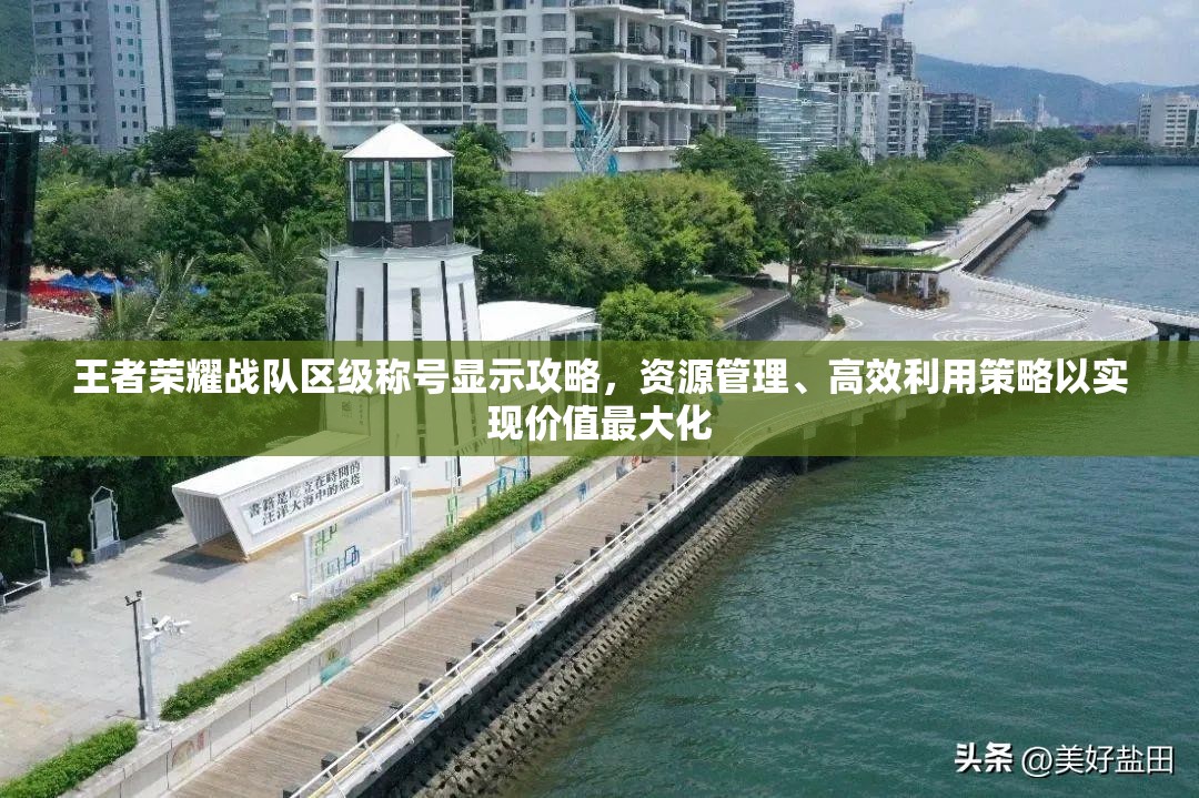 王者荣耀战队区级称号显示攻略，资源管理、高效利用策略以实现价值最大化