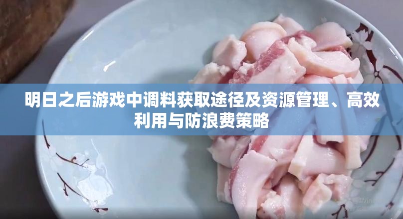 明日之后游戏中调料获取途径及资源管理、高效利用与防浪费策略