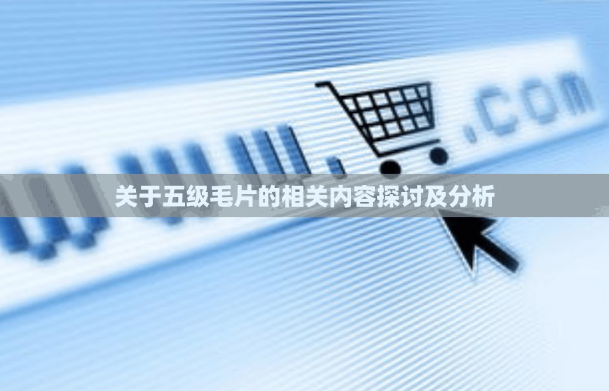 关于五级毛片的相关内容探讨及分析