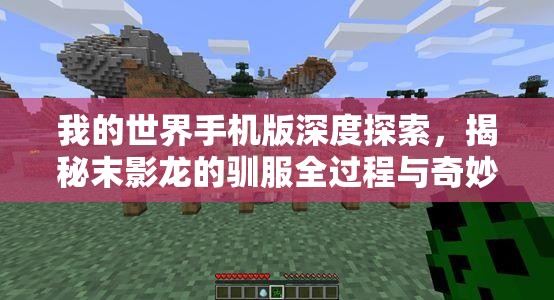 我的世界手机版深度探索，揭秘末影龙的驯服全过程与奇妙之旅
