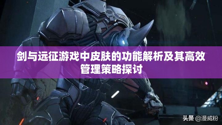 剑与远征游戏中皮肤的功能解析及其高效管理策略探讨