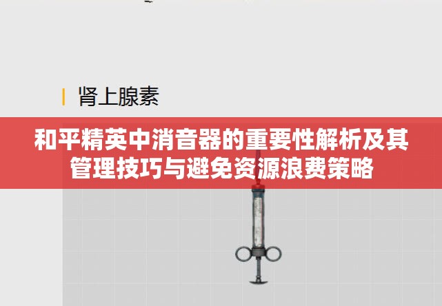 和平精英中消音器的重要性解析及其管理技巧与避免资源浪费策略