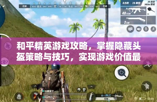 和平精英游戏攻略，掌握隐藏头盔策略与技巧，实现游戏价值最大化