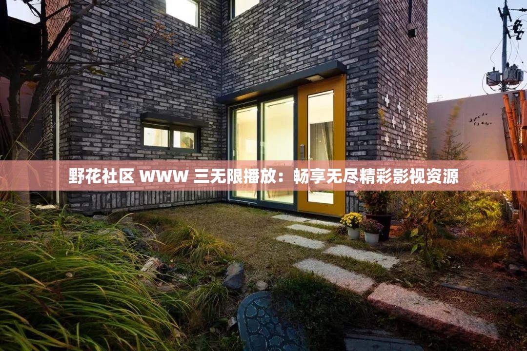 野花社区 WWW 三无限播放：畅享无尽精彩影视资源