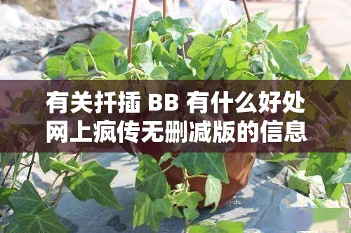 有关扦插 BB 有什么好处网上疯传无删减版的信息