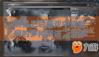 明日之后游戏中蜘蛛网的多种用途，资源管理策略、实用技巧及价值最大化指南