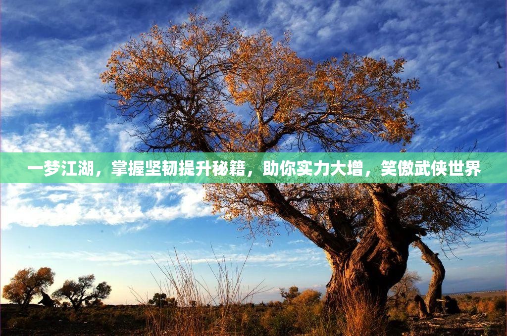 一梦江湖，掌握坚韧提升秘籍，助你实力大增，笑傲武侠世界