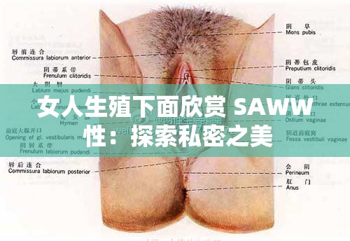 女人生殖下面欣赏 SAWW 性：探索私密之美
