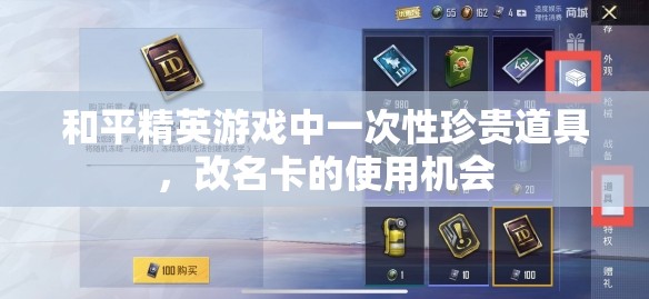 和平精英游戏中一次性珍贵道具，改名卡的使用机会