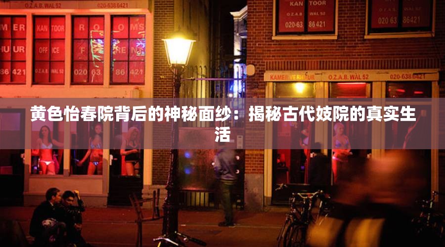 黄色怡春院背后的神秘面纱：揭秘古代妓院的真实生活