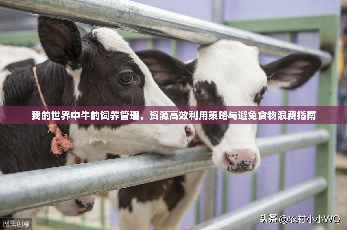 我的世界中牛的饲养管理，资源高效利用策略与避免食物浪费指南