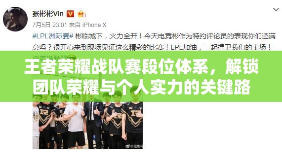 王者荣耀战队赛段位体系，解锁团队荣耀与个人实力的关键路径