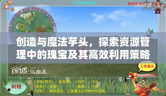 创造与魔法芋头，探索资源管理中的瑰宝及其高效利用策略