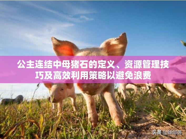 公主连结中母猪石的定义、资源管理技巧及高效利用策略以避免浪费
