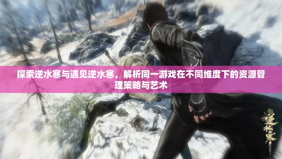 探索逆水寒与遇见逆水寒，解析同一游戏在不同维度下的资源管理策略与艺术