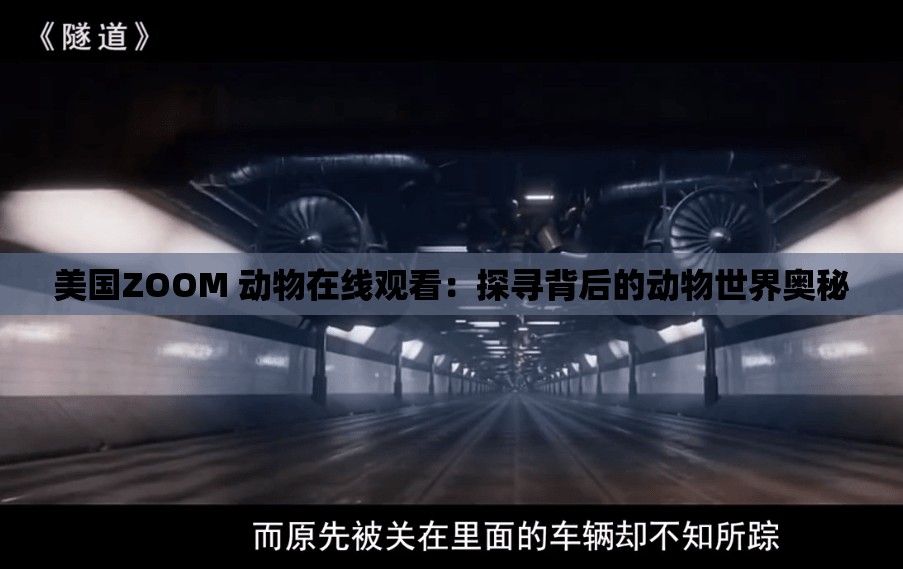 美国ZOOM 动物在线观看：探寻背后的动物世界奥秘