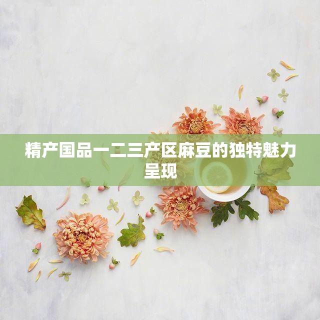 精产国品一二三产区麻豆的独特魅力呈现