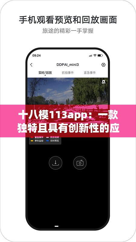十八模113app：一款独特且具有创新性的应用程序