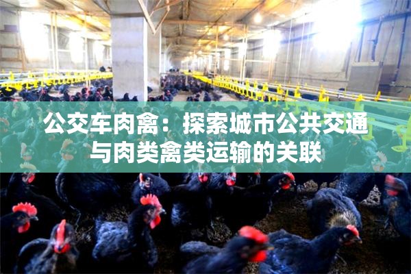 公交车肉禽：探索城市公共交通与肉类禽类运输的关联