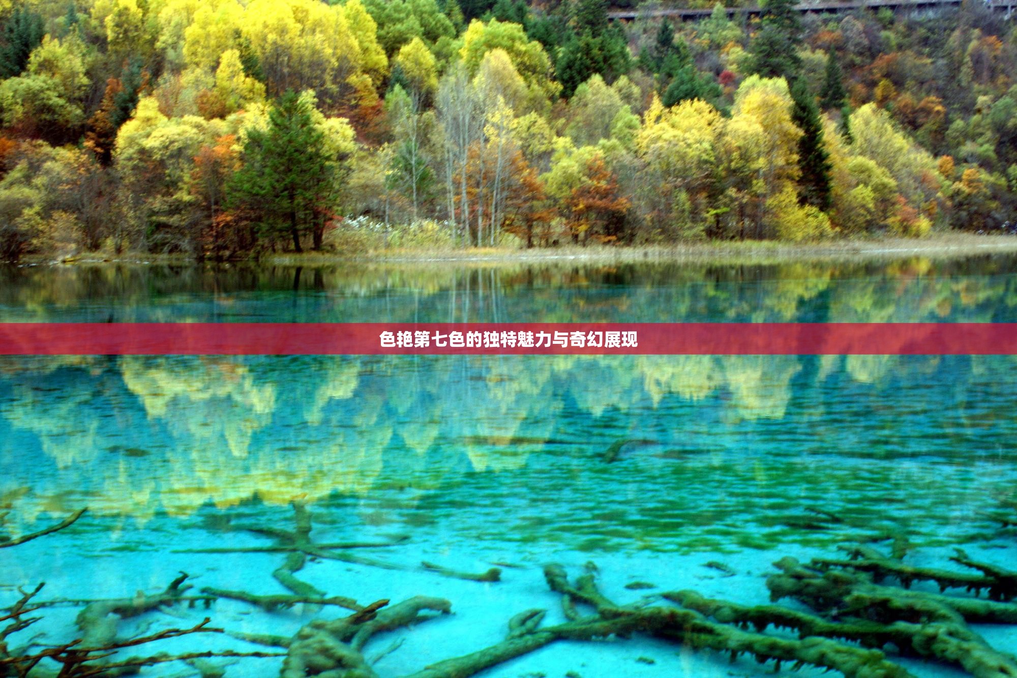 色艳第七色的独特魅力与奇幻展现