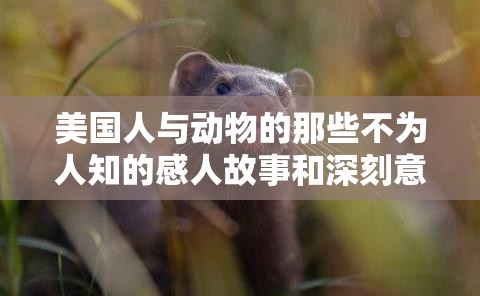 美国人与动物的那些不为人知的感人故事和深刻意义