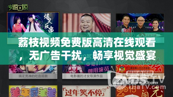 荔枝视频免费版高清在线观看，无广告干扰，畅享视觉盛宴