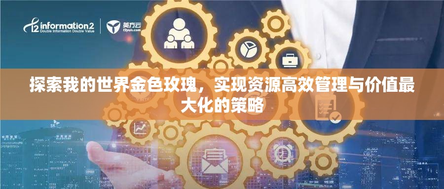 探索我的世界金色玫瑰，实现资源高效管理与价值最大化的策略