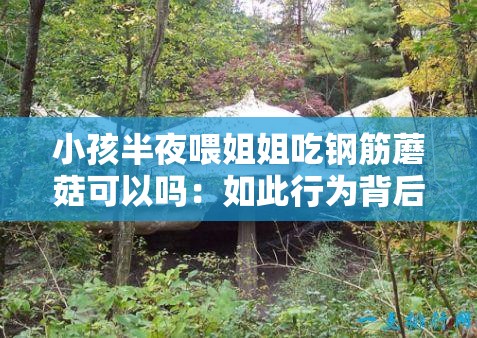 小孩半夜喂姐姐吃钢筋蘑菇可以吗：如此行为背后的真相令人震惊