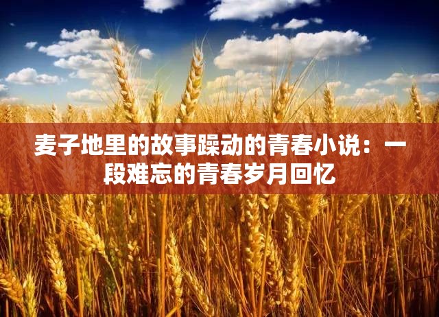 麦子地里的故事躁动的青春小说：一段难忘的青春岁月回忆